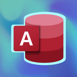 Microsoft Access II (20h)